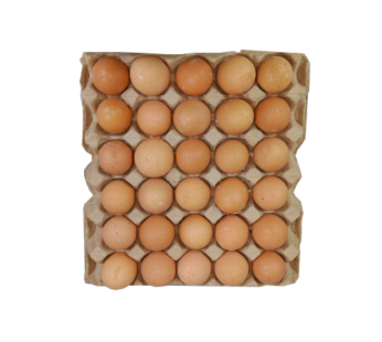 Egg Tray